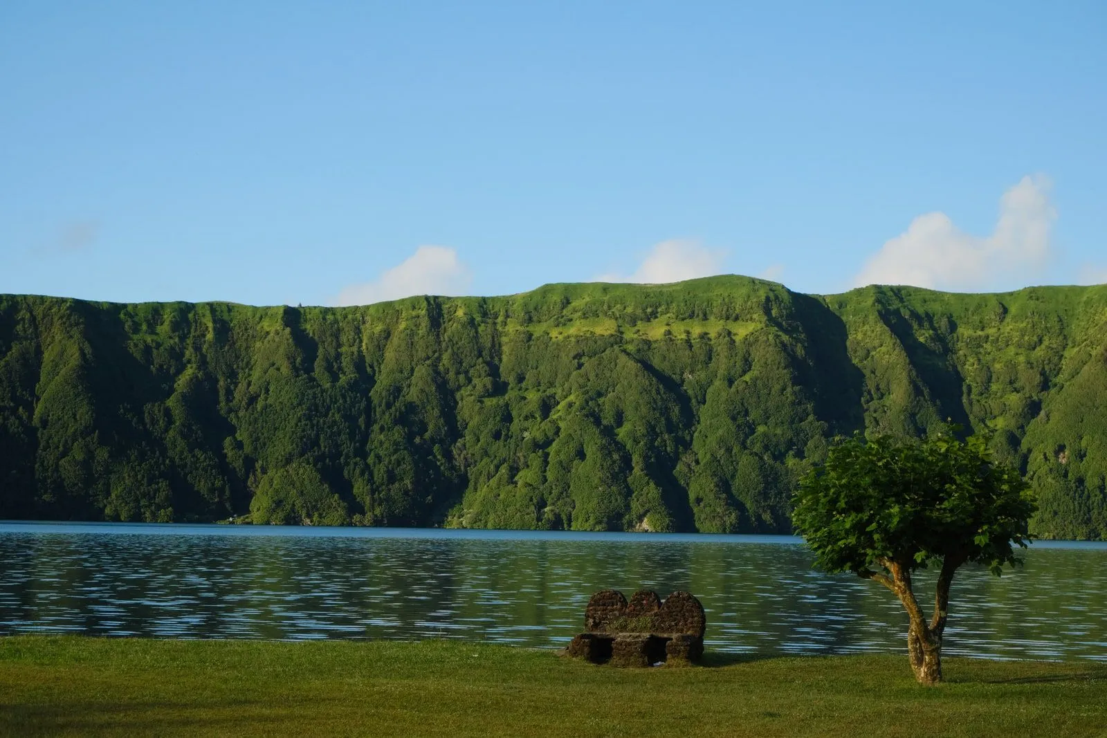 A quiet crater lake shoreline with green hills and grazing livestock.